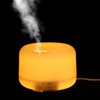300ML Ultrasonic Air Humidifier with Lights Electric Aroma Diffuser