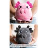 corimori Axolotl "Spotl & Pebbles" Mood Cuddly Toy, 16 cm
