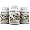 Natures Elements Chaga Mushroom – Pack of 3 – 10:1