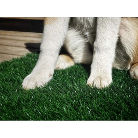 LOOBANI Dog Grass Pee Pads, Artificial Turf Pet Grass Mat Replacement for Puppy Potty Trainer Indoor/Outdoor Use - Set of 2 (18"x28")