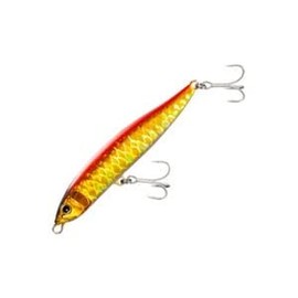 Shimano XL-210R Exsense Sliding Assassin 100S X AR-C 017 Sinking Pencil for Sea Bass