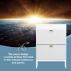 Brafab Shoe Storage Cabinet with 2 Flip Drawers&1 Small Drawer,