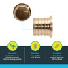 SharkBite 1-1/4 Inch Brass Crimp Plug, PEX Pipe, PE-RT, UC0435