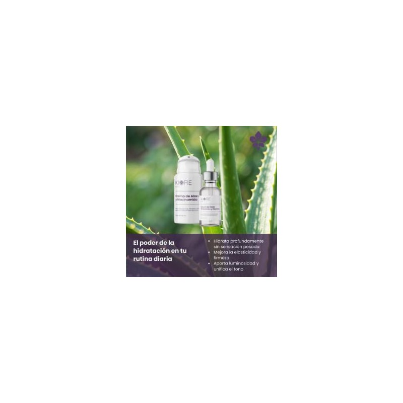 Kit Facial Hidratante de Aloe, Niacinamida y Ácido Hialurónico