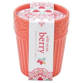Seishin Pottery GD-90401 Household Garden, Easy Cultivation Kit, Wild Strawberry, Indoor, Herb, Vegetables, Cultivation Set, 3.1 inches (8 cm), Botanical Pot, Mother's Day, Gift, Birthday