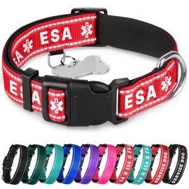 TECEUM Reflective Pet Collar – Red - ESA – M – Extra Soft Padding – Basic Nylon Dog Collar – Quick Release Buckle – Fits Small, Medium and Large Dogs, Puppies, Cats – ESA & Service Dog Options