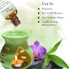 Abbey & Sullivan Fragrance Oil, Lily of The Valley, 1