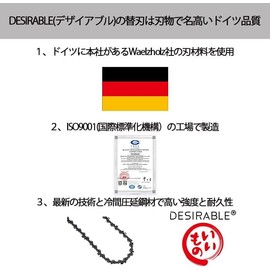 Desirable German Quality Chain Blade, Makita Compatible, Format 25AP60E A-42743 (25AP-60E, Husqvarna: H00-60E/Steel: 13RMS-60), Heavy Duty Replacement Blade Chainsaw Blade (1)