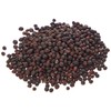 PREMIER SEEDS DIRECT Sprouting Pink Kale Seeds "Brassica oleracea Acephala