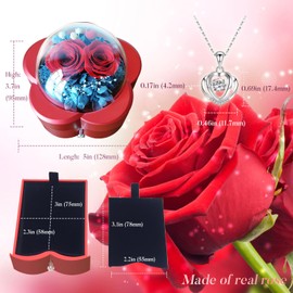 Preserved Red Real Rose with Necklace, Eternal Rose Gifts for Women Mom Wife and Girlfriend, Valentines Day Gifts for Her, Mothers Day, Anniversary, Birthday, for Women (Red Rose)
