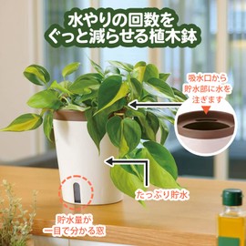 Richell 700955 Mielno Plus Pot 17 Type N White Soil Capacity 0.3 gal (0.5 L)