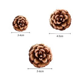 30 Pieces Natural Dried Pine Cones Christmas Ornaments Cones for Christmas Tree Party Hanging Decoration Crafts Brown 3 Sizes