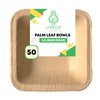U'reca Organics Eco-Friendly Palm Leaf Bowls | 3.5" (9 cm) Square Bowl - Pack of 25 | Disposable, Compostable & Biodegradable Dinnerware | Perfect for Sides, Desserts, or Sauces