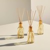 Glasshouse Fragrances Arabian Nights Reed Diffuser, Home Fragrance & Perfume