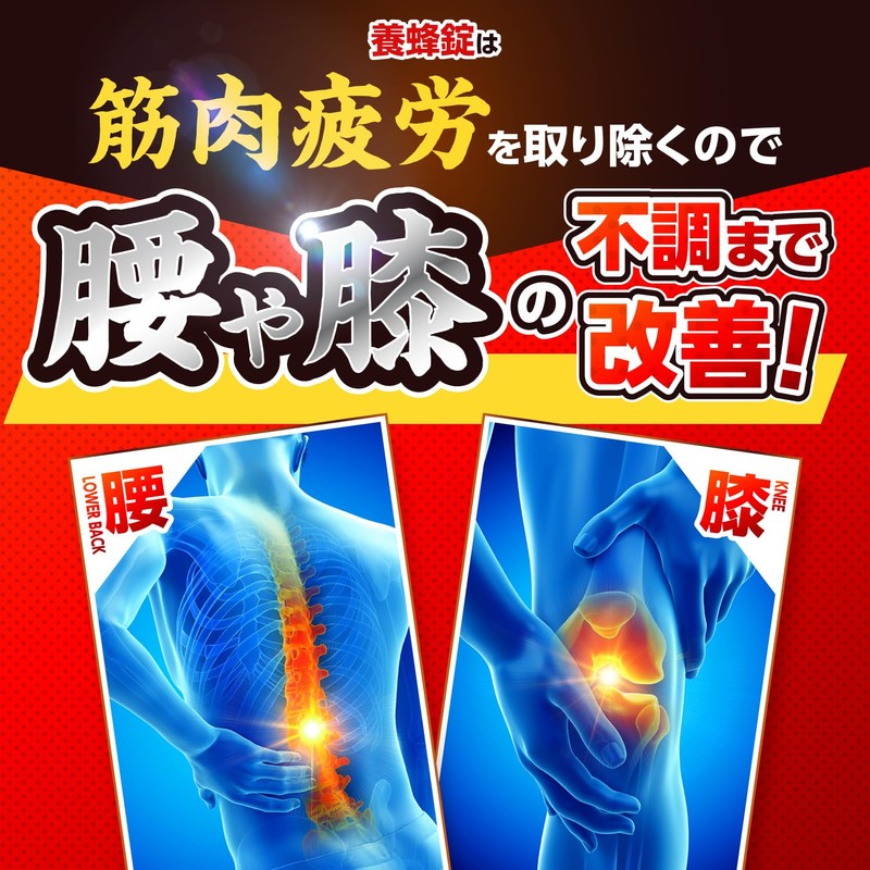 【Specified External Medicine】養蜂錠 60 Tablets 30 Day Supply for Fatigue
