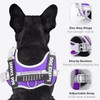 HUSDOW Service Dog Vest Harness, No Pull in Trainning Dog