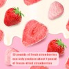 Coated dried strawberries 72g, crispy strawberries, fruit snacks, 18 small
