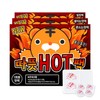 Warm hot pack collection/shaking hot pack/foot/sticky hot pack 03 Foot hot packs (2 packs) 67ea