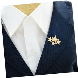 SHERCHPRY Set of 2 star pin star brooches rhinestone brooch rhinestone brooches costume brooch brooch gold brooch made of shiny brooch, Metal, No gemstone