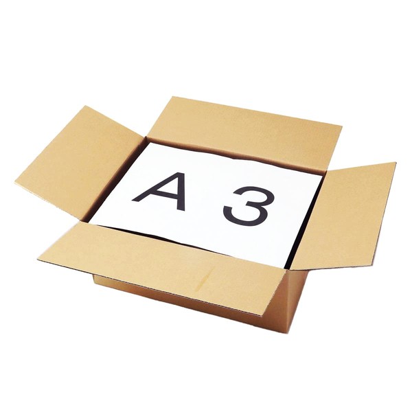 Earth Cardboard, Cardboard, 100 Sizes, 40 Pieces, Cardboard, 100, A3, Shallow Type, Moving, Packaging, ID0493
