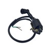 ERRIPA Ignition Coil 50cc 70cc 90cc 110cc 125cc ATV Apollo