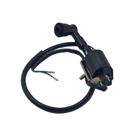 ERRIPA Ignition Coil 50cc 70cc 90cc 110cc 125cc ATV Apollo Baja Coolster Peace Sports TaoTao