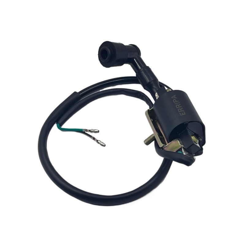 ERRIPA Ignition Coil 50cc 70cc 90cc 110cc 125cc ATV Apollo
