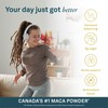 Organika Maca Certified Organic Powder- Gelatinized for High Bioavialability, Hormone