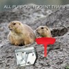 Qualirey 8 Pcs Gopher Traps Mole Mouse Gophers Trap Galvanized