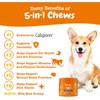 Zesty Paws Dog Multivitamin 5-in-1 | Supports Gut Health &