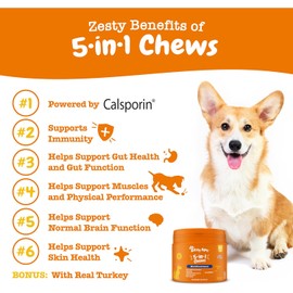 Zesty Paws Dog Multivitamin 5-in-1 | Supports Gut Health & Skin Health | Boosts Immunity, Physical Performance & Reduces Stress | Vitamin B | Supports Gut & Skin Health | Turkey Flavour | 90 Pcs