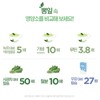 국내산 고창 뽕나무잎 분말 차 뽕잎가루 500g Domestic Gochang Mulberry