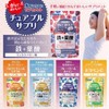 オリヒロ かんでおいしいチュアブルサプリ 鉄＋葉酸 120粒 約30日分 RPJセット ORIHIRO
