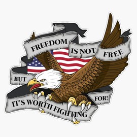 HOF Trading Amerian Pride Merica Patriotic Freedom is Not Free But Worth Fighting for Bald Eagle Vinyl Sticker Waterproof Decal Laptop Wall Window Bumper Sticker 5 (HOF-VETERAN-STICKERS-5167)