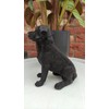 Vivid arts hollow resin black labrador 21cm
