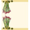 Stonehouse Collection | Ocotillo Cactus Table Tent Cards | Desert