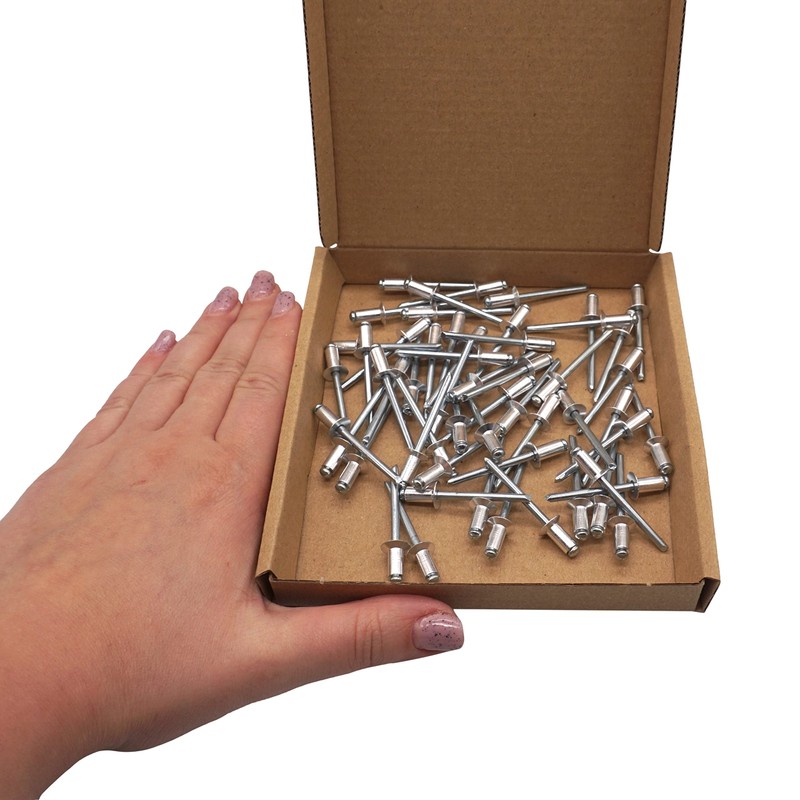 SKIR'CO Countersunk Aluminium Blind Rivets 4.8 x 10 mm Steel