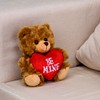 Plushland Stuffed Mocha Heart Bear – Be Mine- Plush Bear