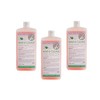 KK Mani-Clean Phenia Cream Soap Hand Wash Soap 3 x 1 Litre Euro Bottle