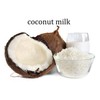 Plai Na Coconut Hand Grater Blade Slicer Shredded Scraper Coconut