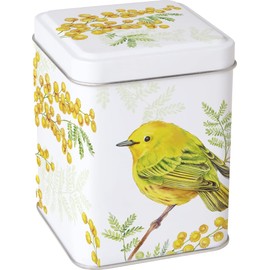 IHR SPRINGTIME BIRD & BERRIES Tea Caddy - Square Kitchen Storage Tin - Yellow/Orange/Green - 10 cm