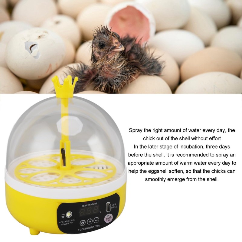 Mini Egg Incubator, Transparent Lid Design, Small Poultry Incubator, High
