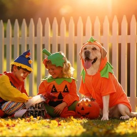 FLAdorepet - Disfraz grande de calabaza para perro, disfraz de Halloween de Acción de Gracias, vestido de fiesta, chamarra de invierno para perro, ropa divertida para labrador Bulldog (naranja, 2XL)