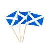 Scotland Flag Scottish Small Toothpick Mini Stick Flags Decorations (100