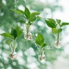 Bunmery 4 pcs Window Propagation Stations, Suction Cup Plastic Plant