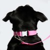 Fleuff Waterproof Dog Collar (Doll Pink, Large)