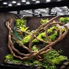 kathson Bearded Dragon Hammock Reptile Hideout Wooden Bridge Jungle Climber