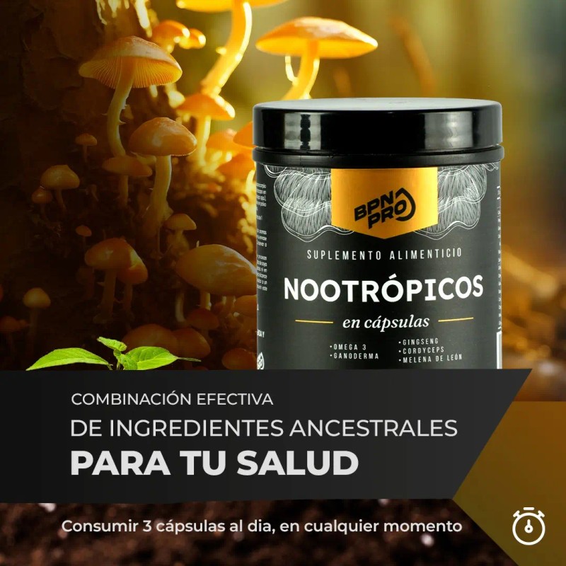 Nootrópico Bpn Pro Melena León Omega Memoria Concentración Energía Cápsulas