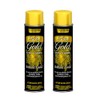 Chase 8-1/2-Ounce Brilliant Finish Metallic Spray Enamel, 24-Karat Gold. 2
