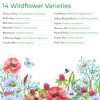 New Mexico Wildflower Seed Mix, Covers 325 Sq Ft, 14
